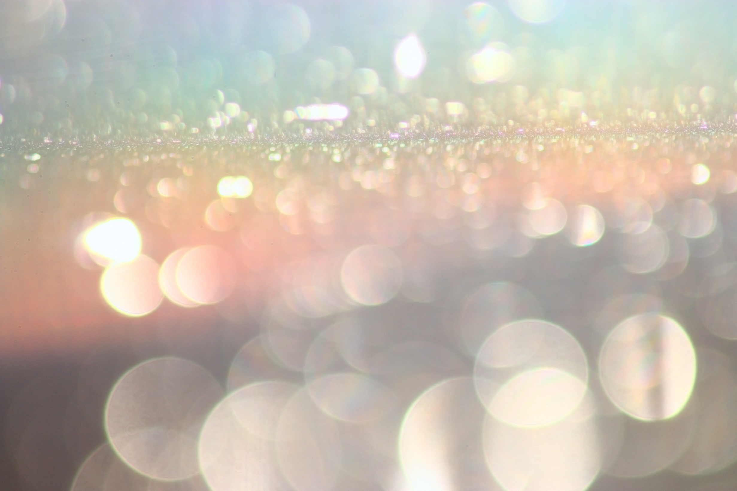 pxt00002895322002.jpg