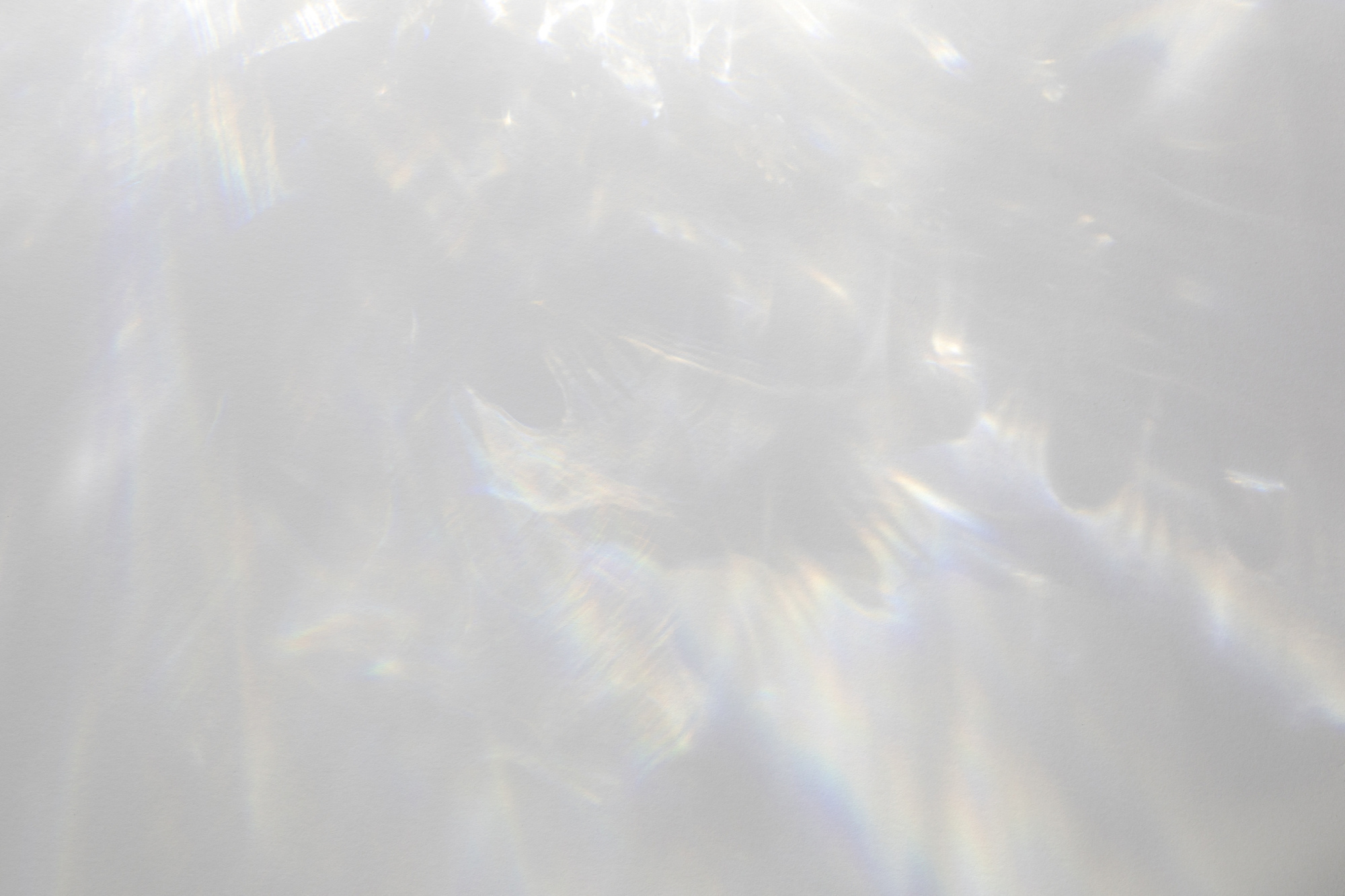 pxt00006660065802.jpg
